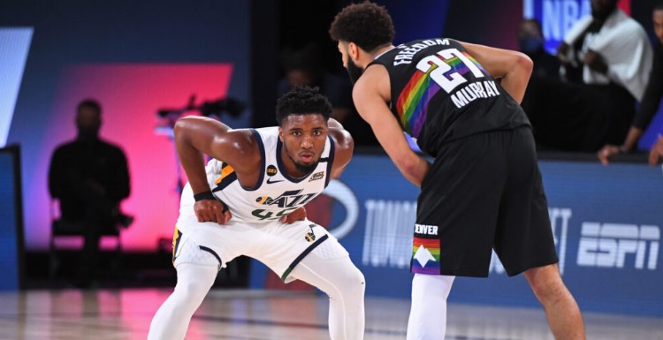 熊的对决中 熊的对决中