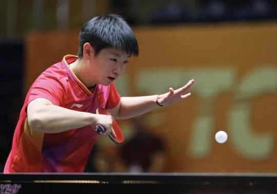 主制度和法 主制度和法