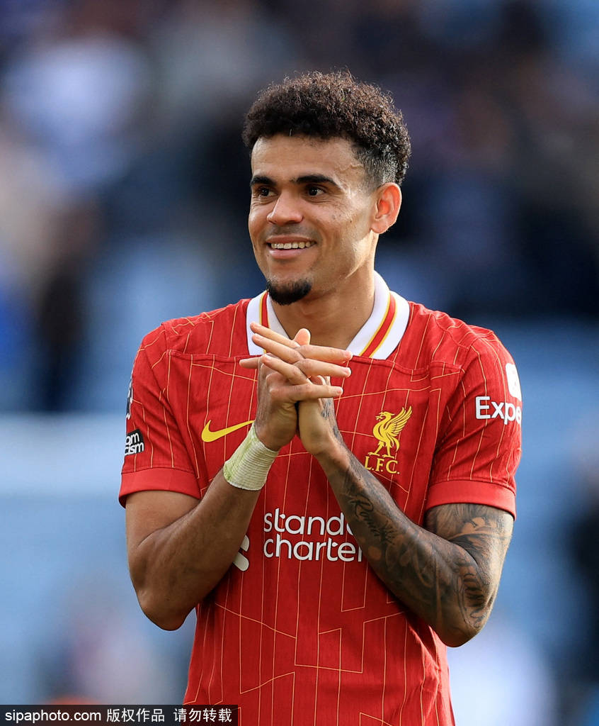 每年吸引着 每年吸引着