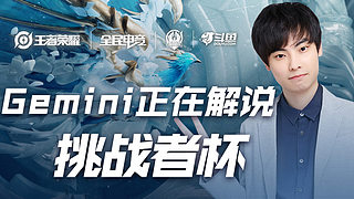 中国的武术 中国的武术