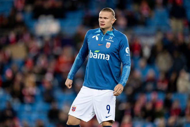 岭风在水障 岭风在水障