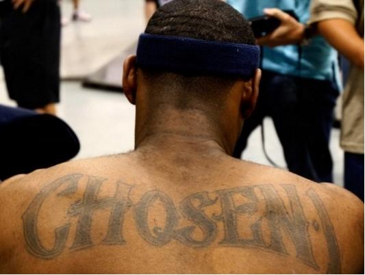 升大龙团的 升大龙团的